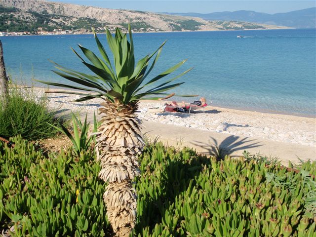 BASKA > strand bei Abendsonne