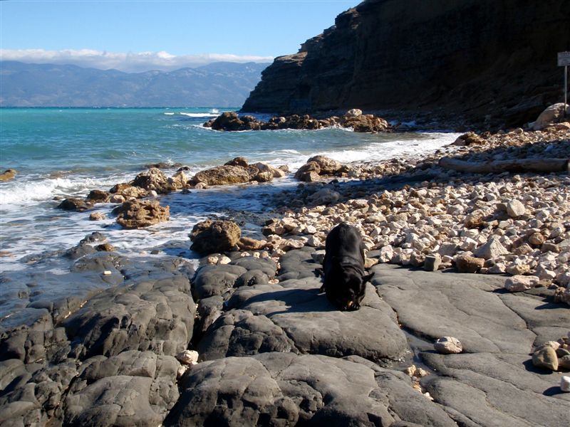 Hundestrand in Baska