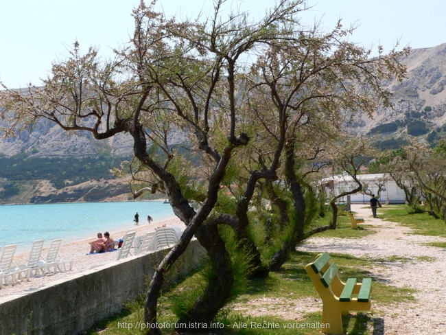 BASKA > Strand