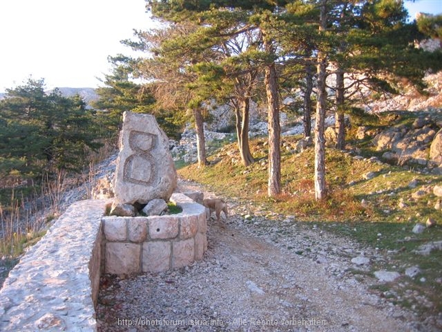 baska-mrz_2008_002.jpg