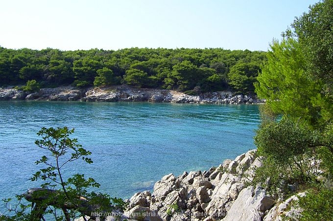 OTOK RAB > SUHA PUNTA > Bucht Jelenovica