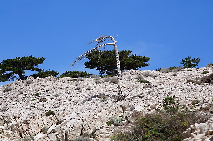 Wanderung Velibrig