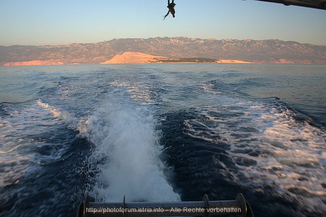 GOLI OTOK > Insel am Rapski kanal