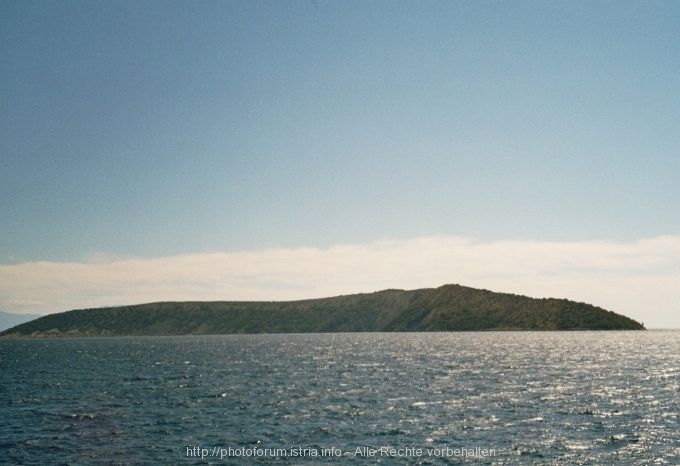 Otok Plavnik