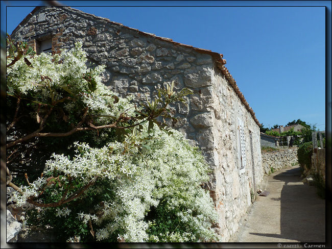 Blumeninsel Illovik