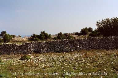 Otok CRES > Merag > Schafweide