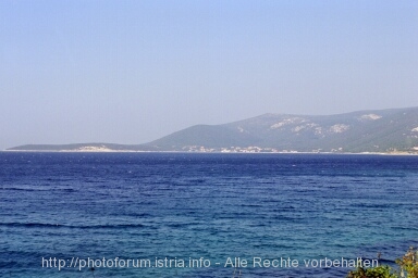 Otok CRES > U. Merascica