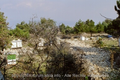 Otok CRES > Merag > Bienenhäuser