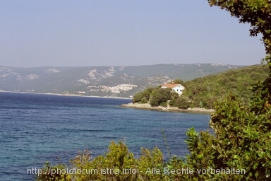 Otok CRES > U. Merascica