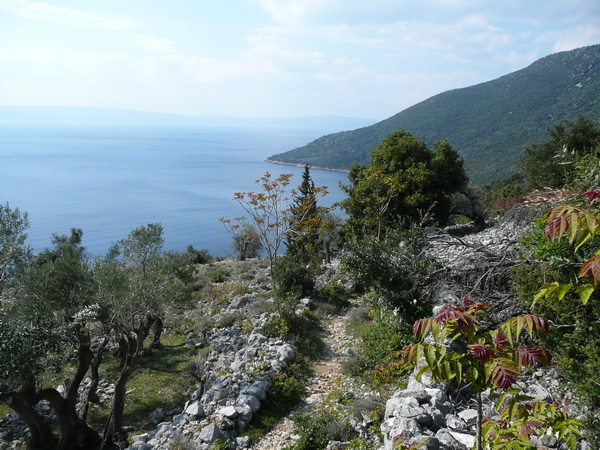 CRES>Sv.Salvator>Ausblick