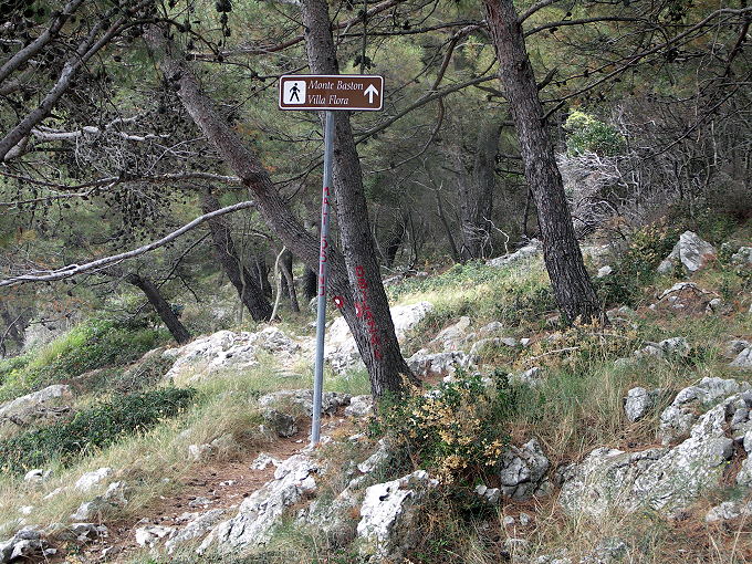 Monte Bosten -5 2