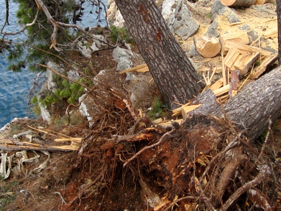 1009 Bura Schäden in Veli Losinj