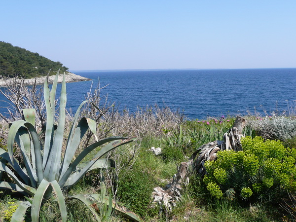 LOSINJ>Wanderung>Uferweg