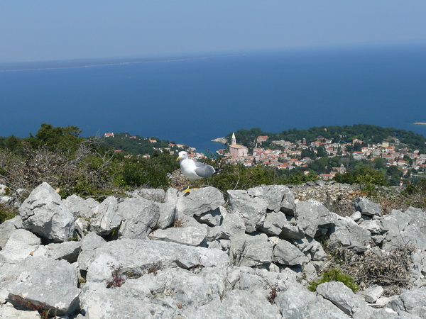 LOSINJ>Sv.Ivan