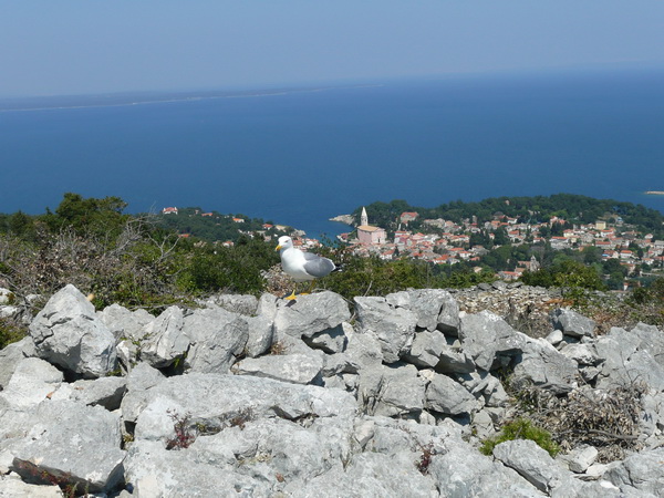 LOSINJ>Sv.Ivan