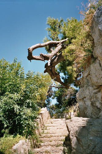 Otok LOSINJ > Veli Losinj