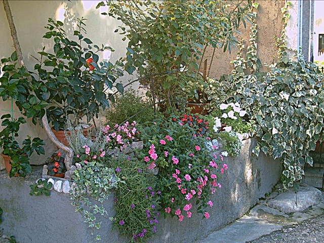 12._Blumen_Ecke_Vrbnik__Aug._2006_042.jpg