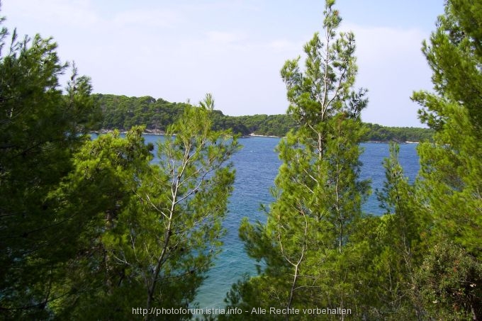 RAB > Park Komrcar > Blick auf Eufemija-Bucht