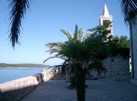 RAB > Kathedrale Maria-Himmelfahrt > Palmen neben der Kathedrale