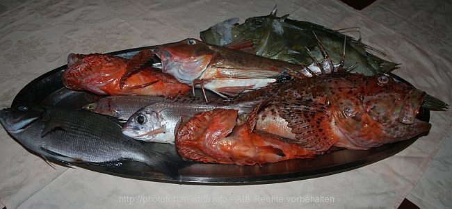 LOPAR > Konoba Ankora > Fangfrischer Fisch