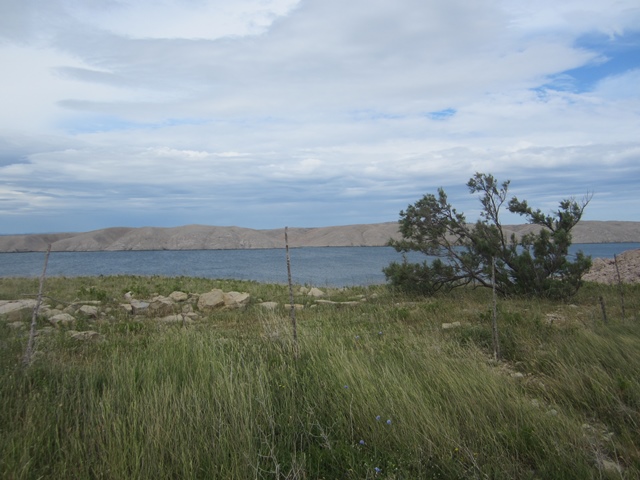 1._137._Insel_Pag.jpg