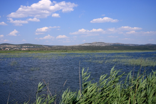 Vransko Jezero 3