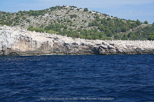 NATURPARK TELASCICA > Steilküste > Klippen und Steinberge