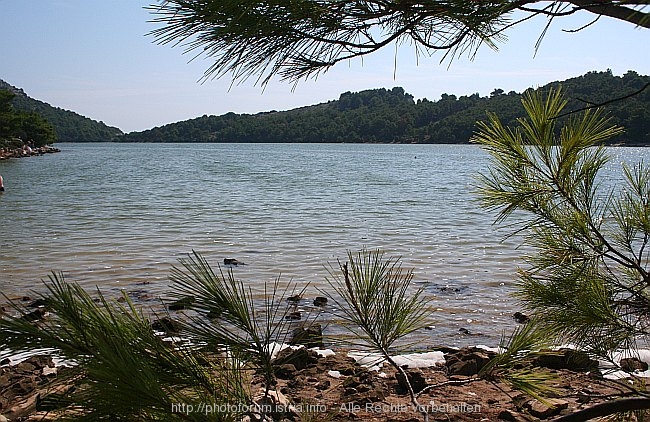 NATURPARK TELASCICA > Salzsee