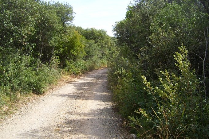 VRSAR > Wanderung zum Limski Kanal 05 > Wanderweg