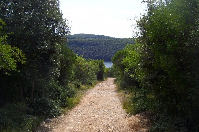 VRSAR > Wanderung zum Limski Kanal 08 > Weg zur Grotte