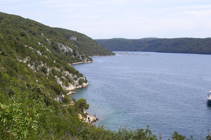 VRSAR > Wanderung zum Limski Kanal 11 > Blick auf den Limski Kanal