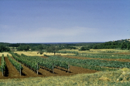 JASENOVICA > Blick aus 3 km Entfernung zum Meer