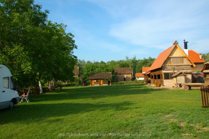 Lonjsko Polje 4