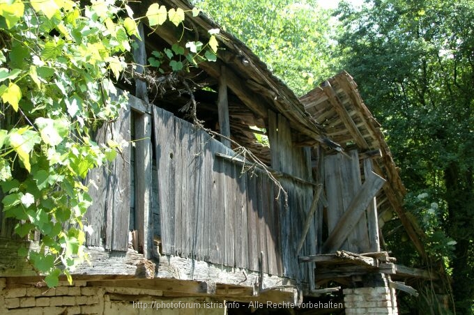 Lonjsko Polje 000 7