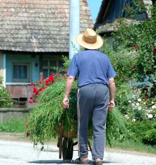 Lonjsko Polje 9