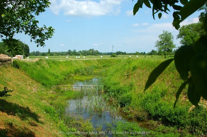 Lonjsko Polje 002 9