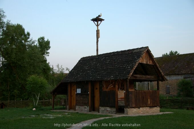 Lonjsko Polje 003 9