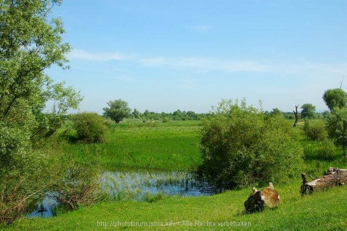 Lonjsko Polje 004 6