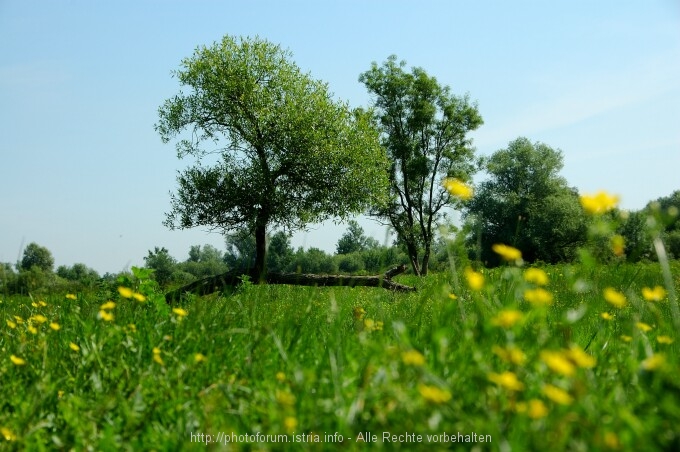 Lonjsko Polje 9