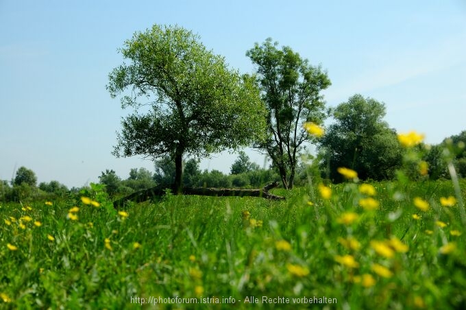 Lonjsko Polje 004 9