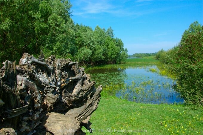 Lonjsko Polje 005