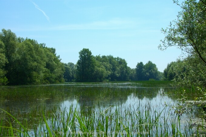 Lonjsko Polje 5