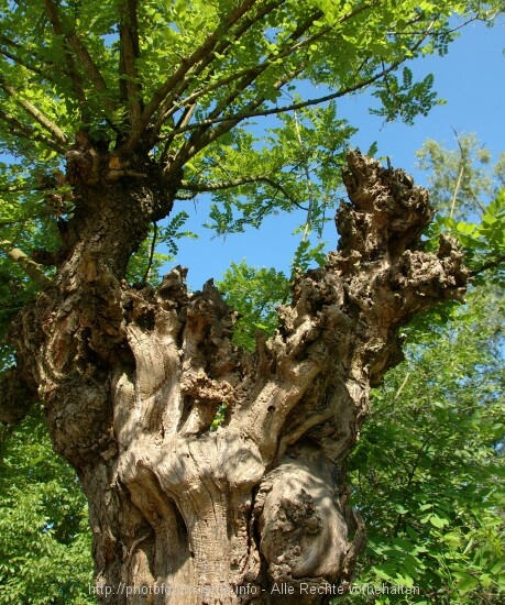 Lonjsko Polje 3