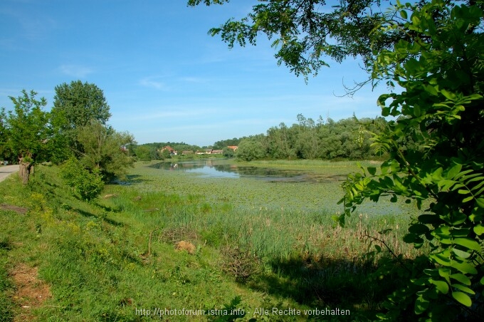 Lonjsko Polje 4