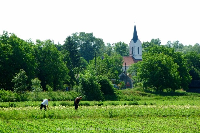 Lonjsko Polje 6