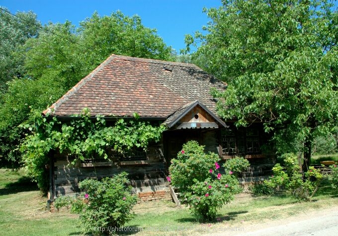 Lonjsko Polje 010 9