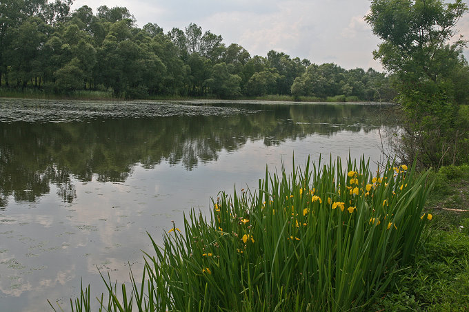 Im Naturpark Lonjsko Polje 3