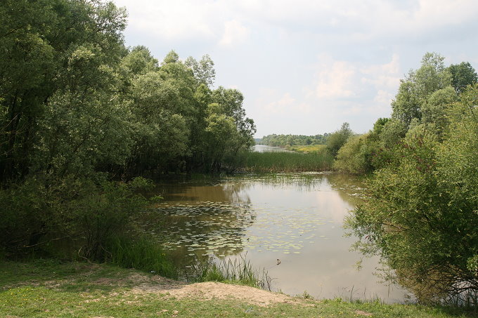 Im Naturpark Lonjsko Polje 5