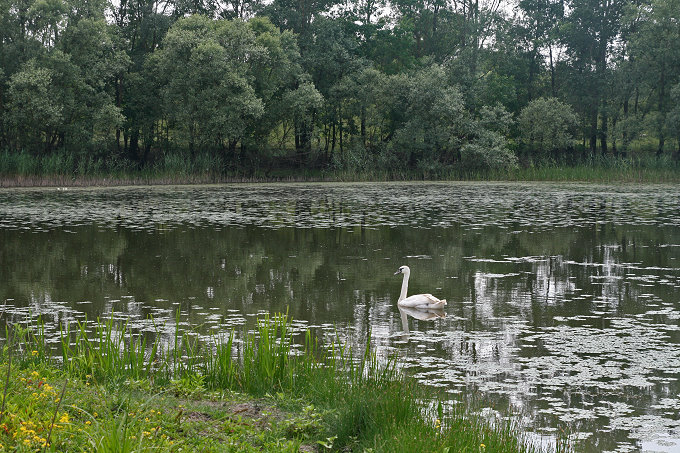 Im Naturpark Lonjsko Polje 6