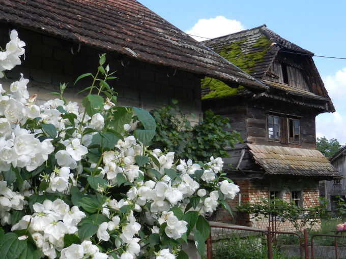 Im Lonjsko Polje 10